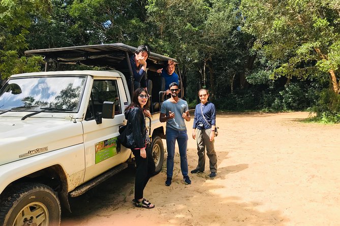 Minneriya Elephant Safari With Sigiriya Rock & Dambulla Cave Temples (Full Day) - Inclusions and Exclusions