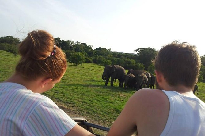 Minneriya Elephant Safari With Sigiriya Rock & Dambulla Cave Temples (Full Day) - The Sum Up