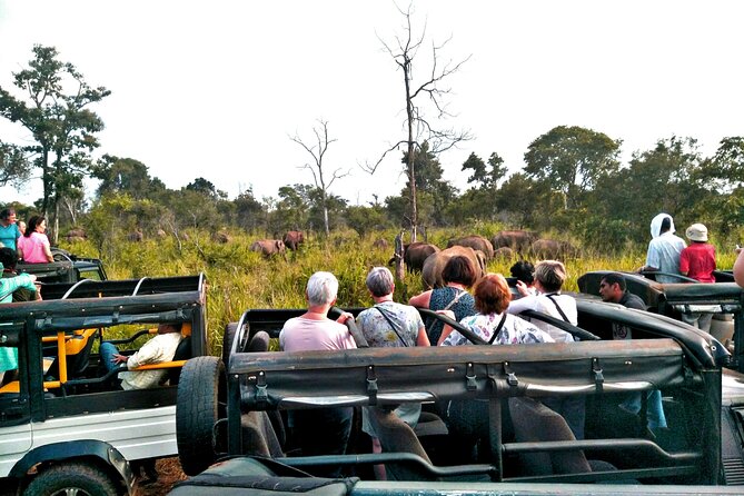 Minneriya / Kaudulla National Park Jeep Safari - Private Jeep Safari Experience