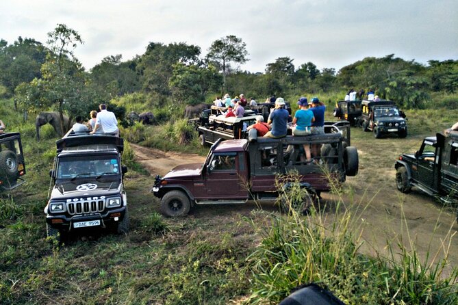 Minneriya / Kaudulla National Park Jeep Safari - Refund and Cancellation Policies