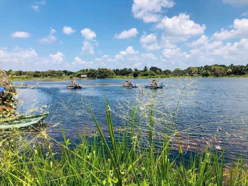 Minneriya National Park 4x4 Safari Wild Elephant Experience - Who Should Consider This Safari?