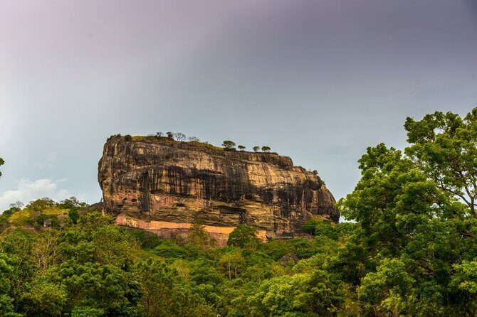 Minneriya National Park and Sigiriya Day Trip from Kalutara - Who Will Love This Tour?