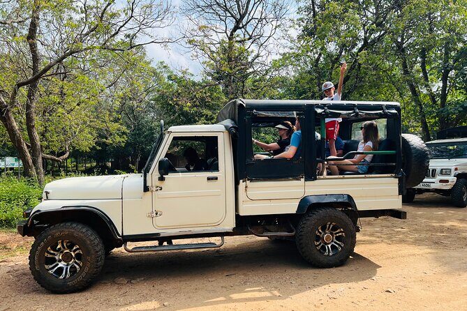 Minneriya National Park Elephant Safari from Sigiriya - Final Thoughts: Is This Safari Worth It?