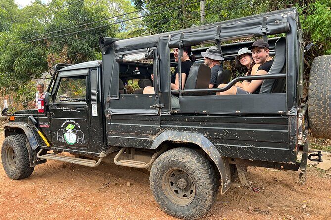 Minneriya National Park Elephant Safari Tour - Who Should Book This Tour?