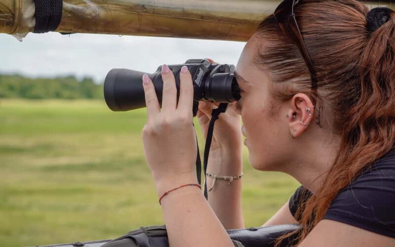 Minneriya National Park: Elephant Safari With Expert Guide - Pricing and Value