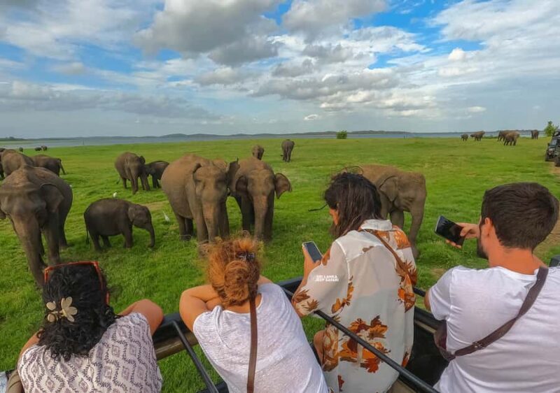 Minneriya National Park: Elephant Safari With Expert Guide - FAQ
