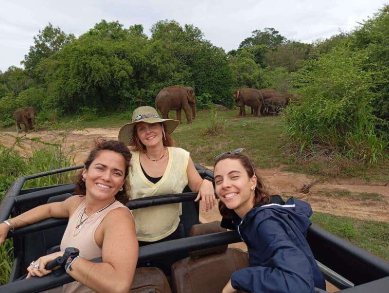 Minneriya National Park: Half-Day Safari Morning or Evening - The Sum Up