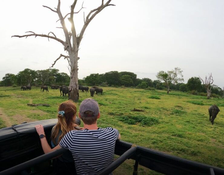 Minneriya National Park Half Day Sri Lanka Jeep Safari - Free Cancellation and Flexible Booking