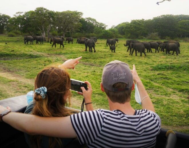 Minneriya National Park Half Day Sri Lanka Jeep Safari - Pickup and Drop-off Locations