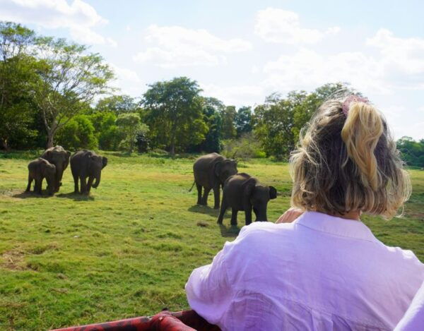 Minneriya National Park Half Day Sri Lanka Jeep Safari - Highlights of the Jeep Safari Experience