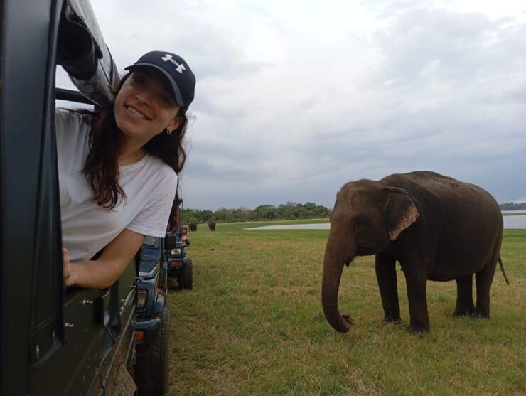 Minneriya: National Park Jeep Safari From Sigiriya/Dambulla - Good To Know