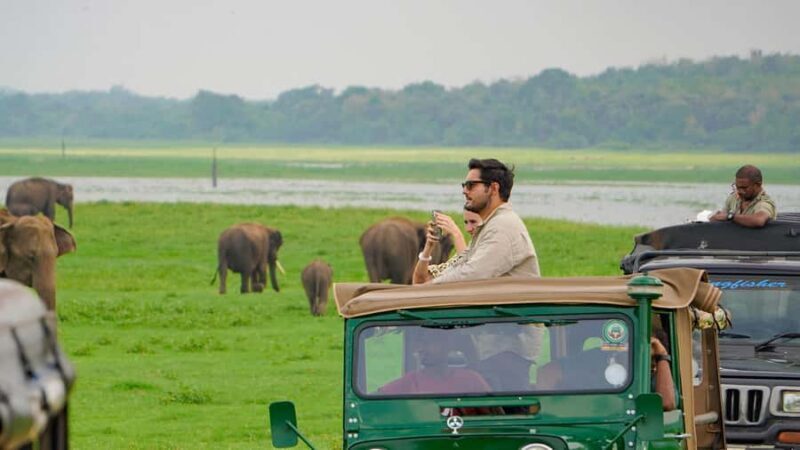 Minneriya National Park: Private 4x4 Elephant Safari - Value and Price Analysis