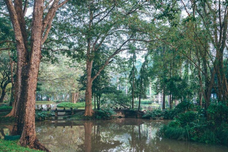 Minneriya National Park: Private Jeep Safari - All Inclusive - Pricing and Value