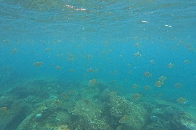 Minneriya National Park Private Safari - The Sum Up: Who Will Love This Safari?