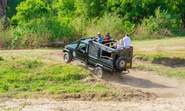 Minneriya National Park Private Safari From Dambulla - Frequently Asked Questions