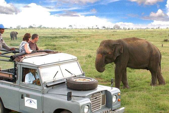 Minneriya National Park Private Safari From Habarana - Good To Know