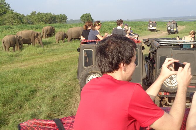 Minneriya National Park Private Safari From Habarana - Pickup and Meeting Details