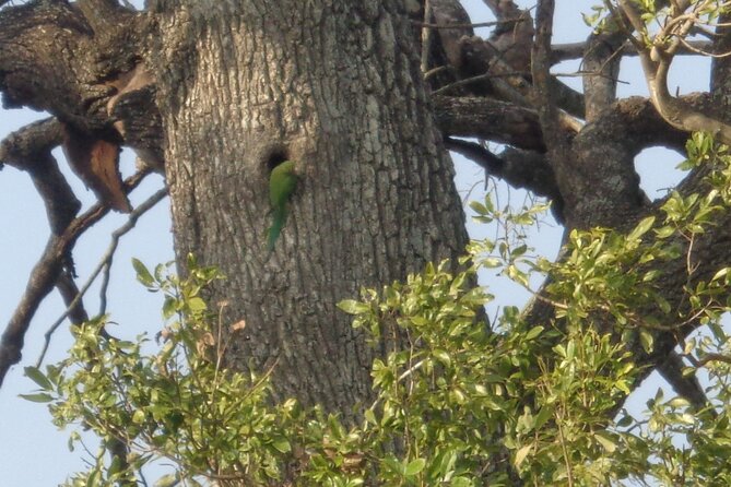 Minneriya National Park Private Safari From Habarana - Additional Tour Information