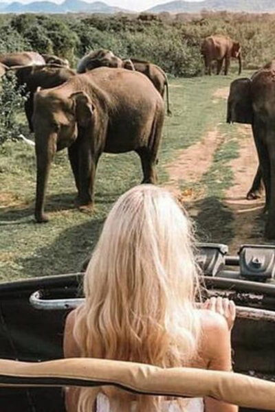 Minneriya National Park Private Safari Tour - Booking Process