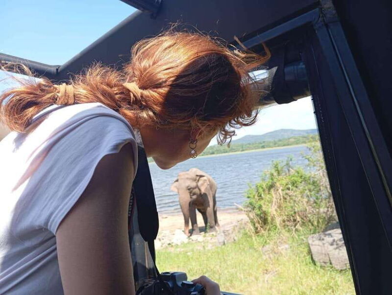 Minneriya National Park: Private Safari with Hotel Pick-up - Final Thoughts