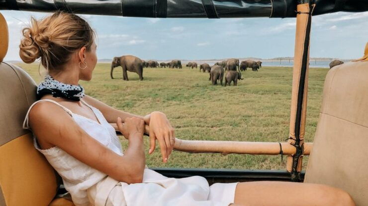 Minneriya National Park Safari in a 4x4 - Duration and Availability