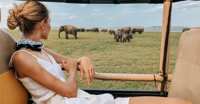 Minneriya National Park Safari in a 4x4 Vehicle - Majestic Wildlife and Stunning Photography Opportunities