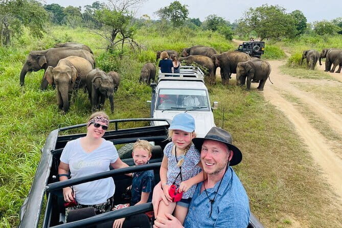 Minneriya National Park Safari - Private Jeep with Hotel Pickup - Introduction: What to Expect from the Minneriya National Park Safari