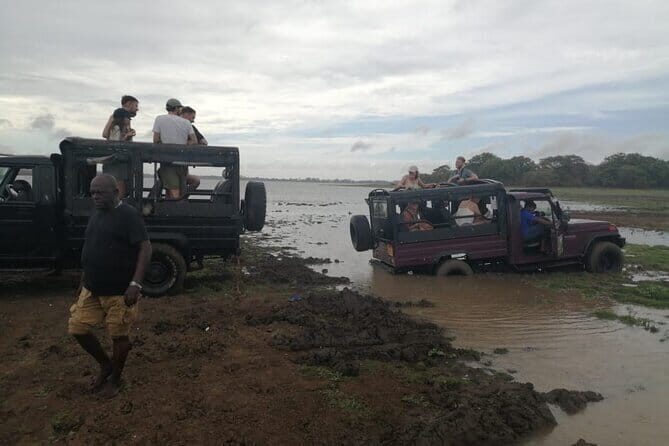 Minneriya National Park Safari - Private Jeep with Hotel Pickup - FAQ