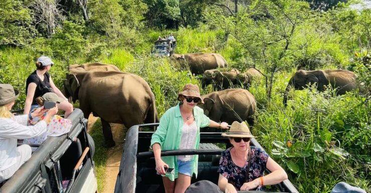 Minneriya Park Jeep Safari With Tickets Include Pickup Drop - Ticket Pricing and Cancellation Policy