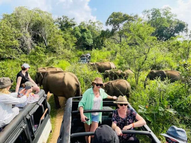 Minneriya Park Jeep Safari With Tickets Include Pickup Drop - Inclusions of the Safari Experience