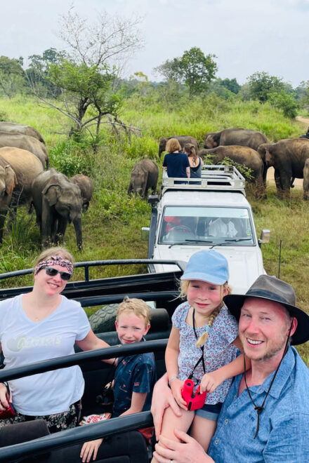 Minneriya Park Jeep Safari With Tickets Include Pickup Drop - Detailed Itinerary of the Day
