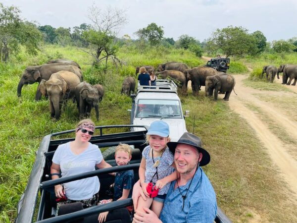Minneriya Park Jeep Safari With Tickets Include Pickup Drop - Booking Your Safari Adventure