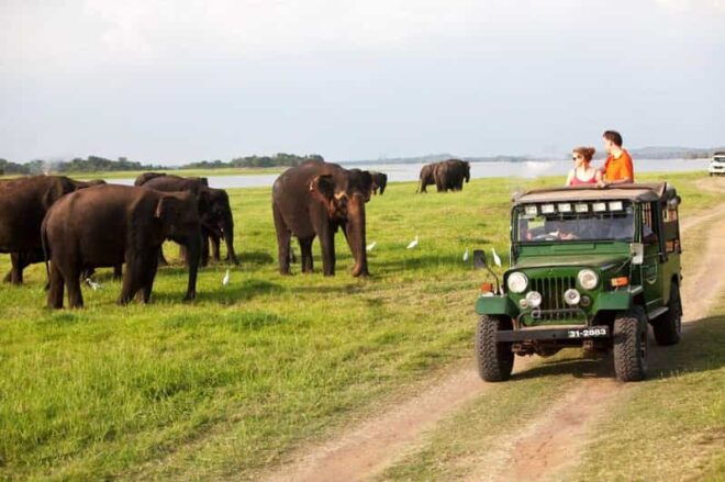 Minneriya:Jeep Safari From Sigiriya - Cancellation Policy