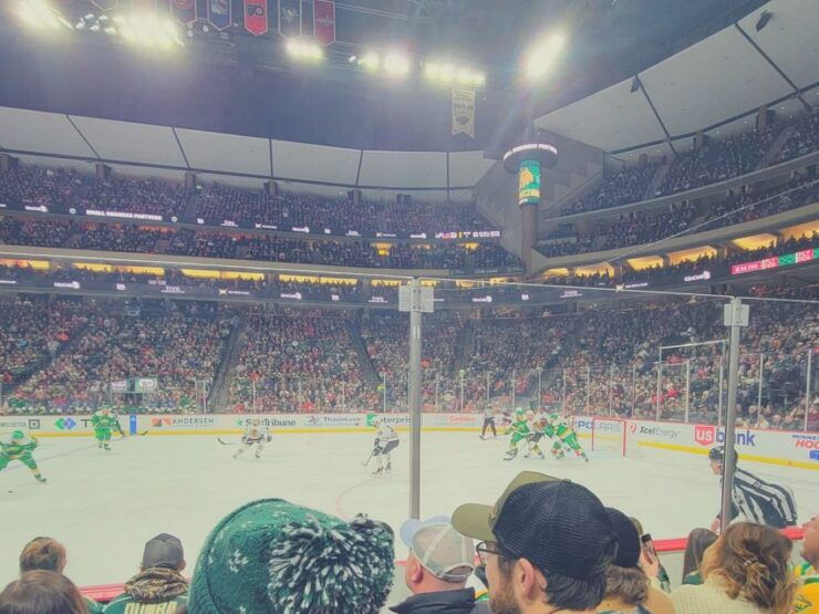 Minnesota: Minnesota Wild Ice Hockey Game Ticket - Ticket Details