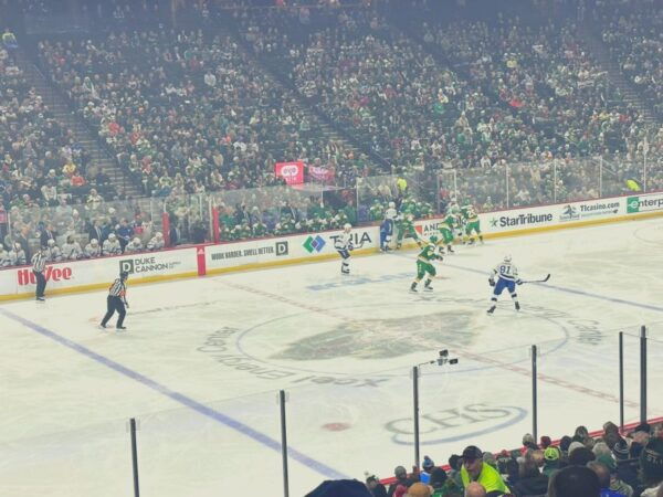 Minnesota: Minnesota Wild Ice Hockey Game Ticket - The Sum Up