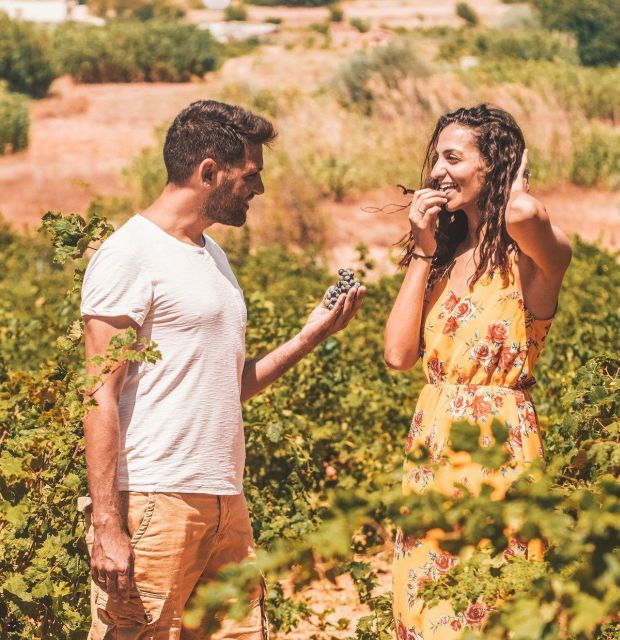 Minoan Luxuries: Ancient Palaces, Messara Wineries & Matala - Uncovering the Gortyn Code