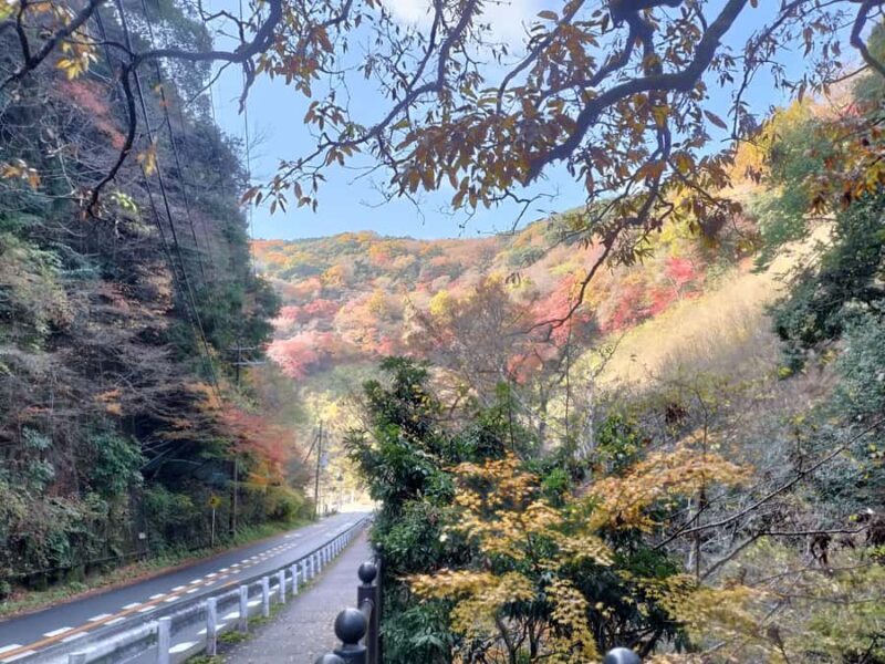 Minoh Falls & Katsuoji Temple Half Day E-Bike Tour - Practical Details and Tips