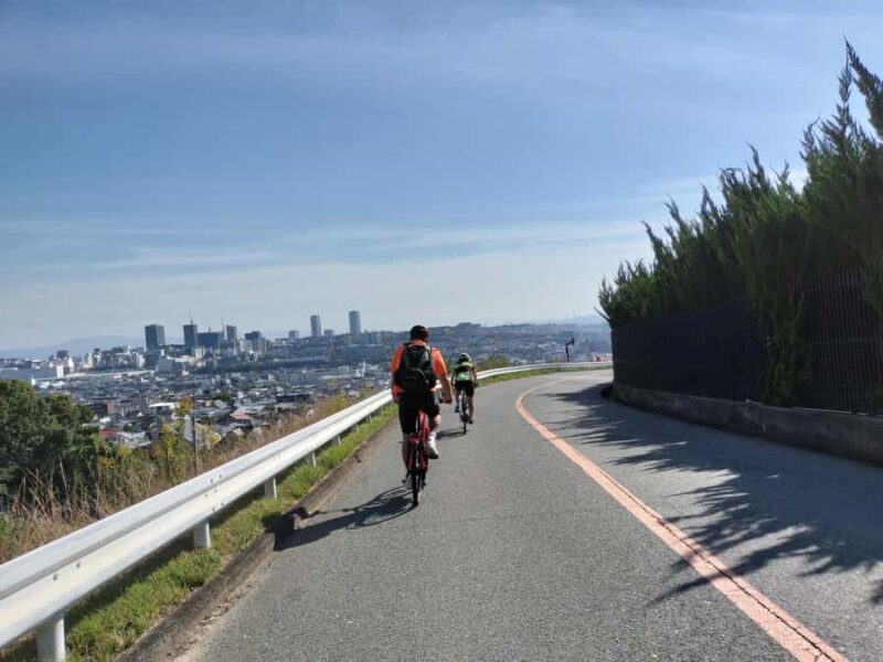 Minoh Falls & Katsuoji Temple Half Day E-Bike Tour - Why This Tour Is Worth It