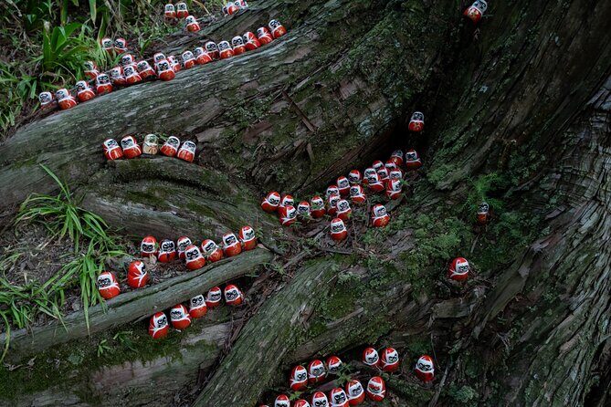 Minoh Katsuoji Temple Walking Tour with Local Guide - FAQ