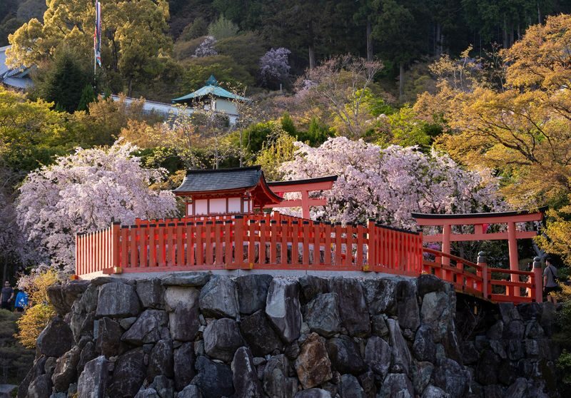 Minoh Katsuoji Temple Walking Tour with Local Guide (4 Hours) - Key points before you book