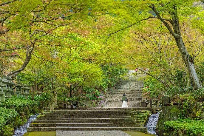 Minoh Katsuoji Temple Walking Tour with Local Guide (4 Hours) - Inside Katsuoji: dolls, halls, and quiet paths