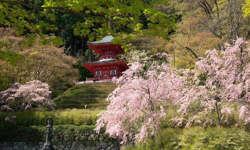 Minoh Katsuoji Temple Walking Tour with Local Guide (4 Hours) - Cherry blossoms or autumn color?