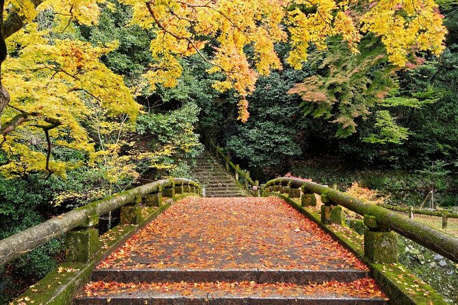 Minoo Park Adventure: Nature, Temples, and Coffee Bliss - Exploring Minoo Parks Natural Beauty