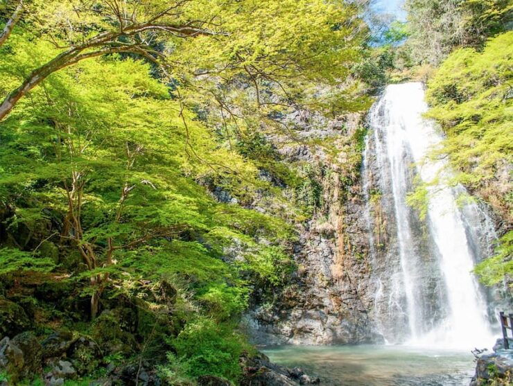 Minoo Park: Guided Nature Walk - Good To Know