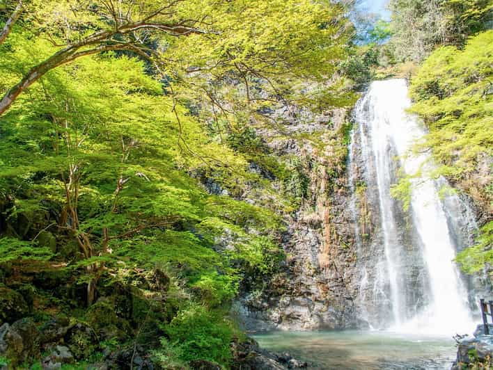 Minoo Park: Guided Nature Walk - Itinerary Highlights