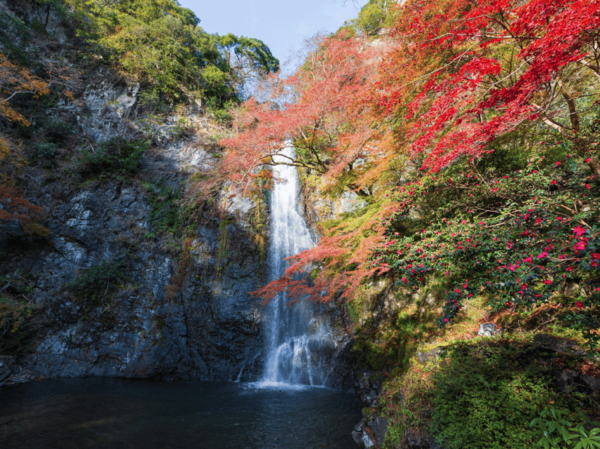 Minoo Park: Guided Nature Walk - Booking Process