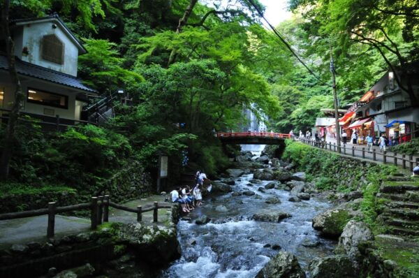 Minoo Park: Guided Nature Walk - What to Expect