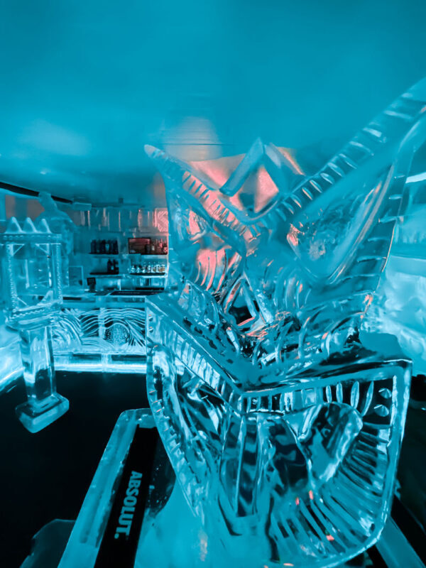 Minus 5 Ice Bar Antarctic Experience - Getting suited up before you enter