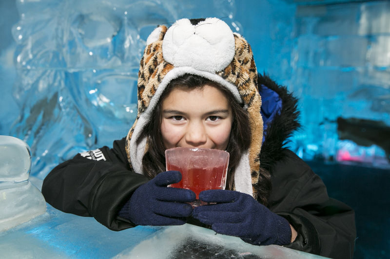 Minus 5 Ice Bar Antarctic Experience - Choosing a cocktail, mocktail or family ticket