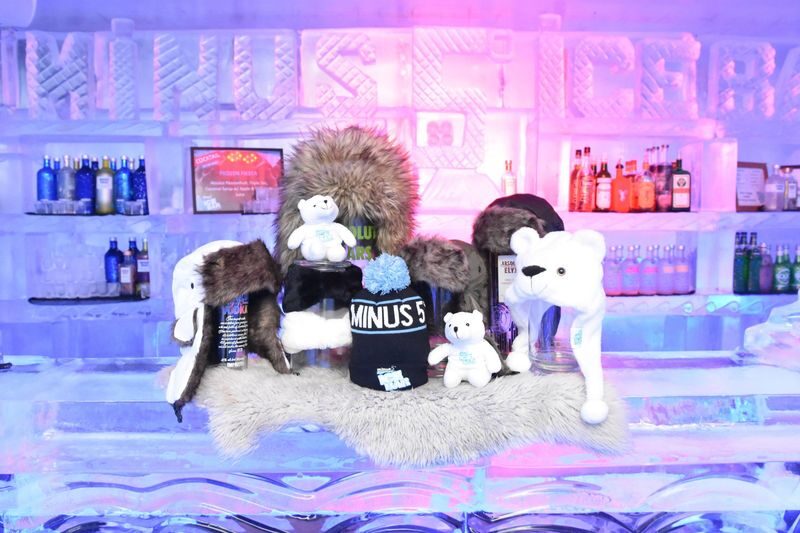 Minus 5 Ice Bar Antarctic Experience - Is the price worth it?